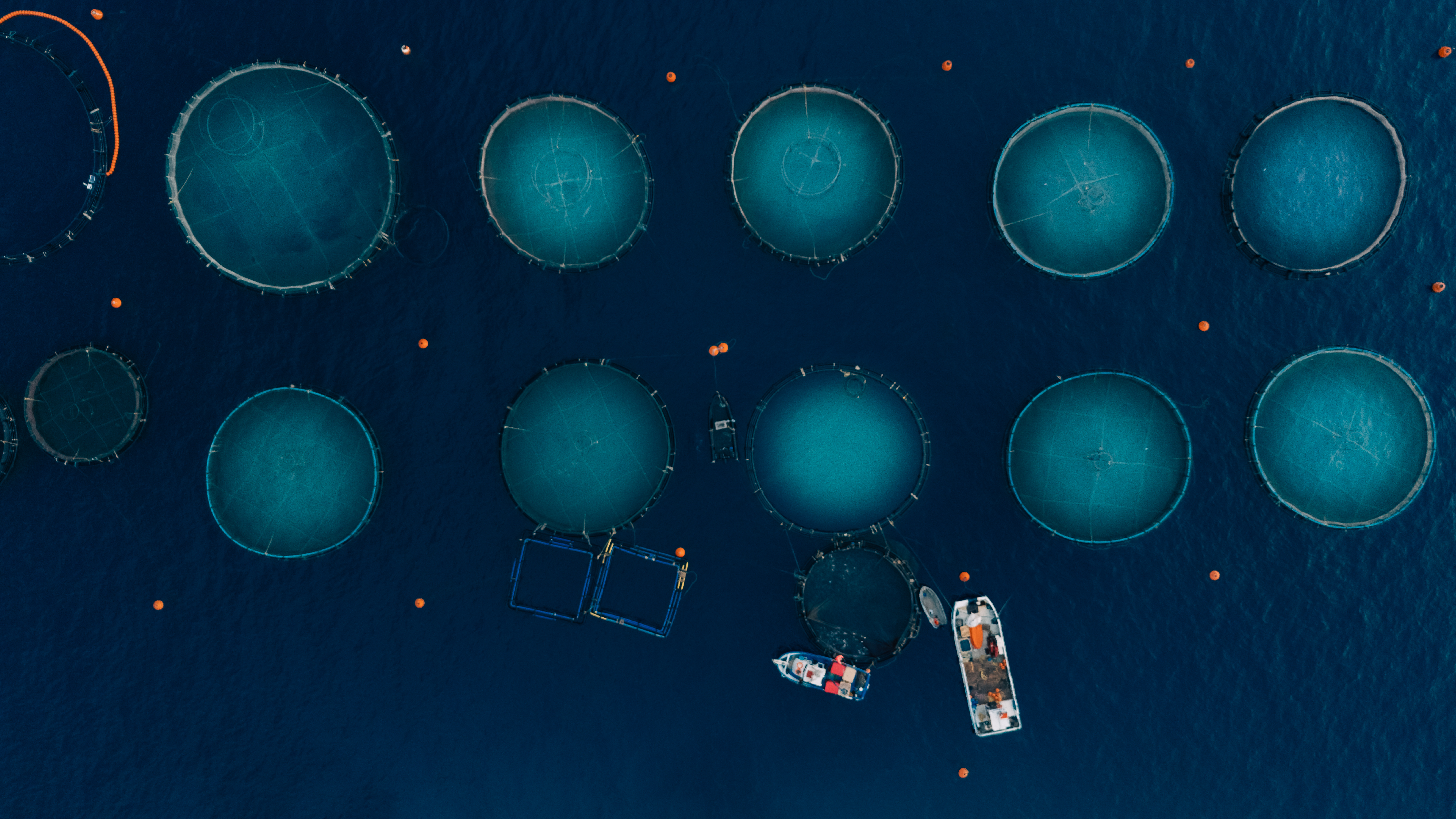 Introduction to Cage Farming: Overview and Importance