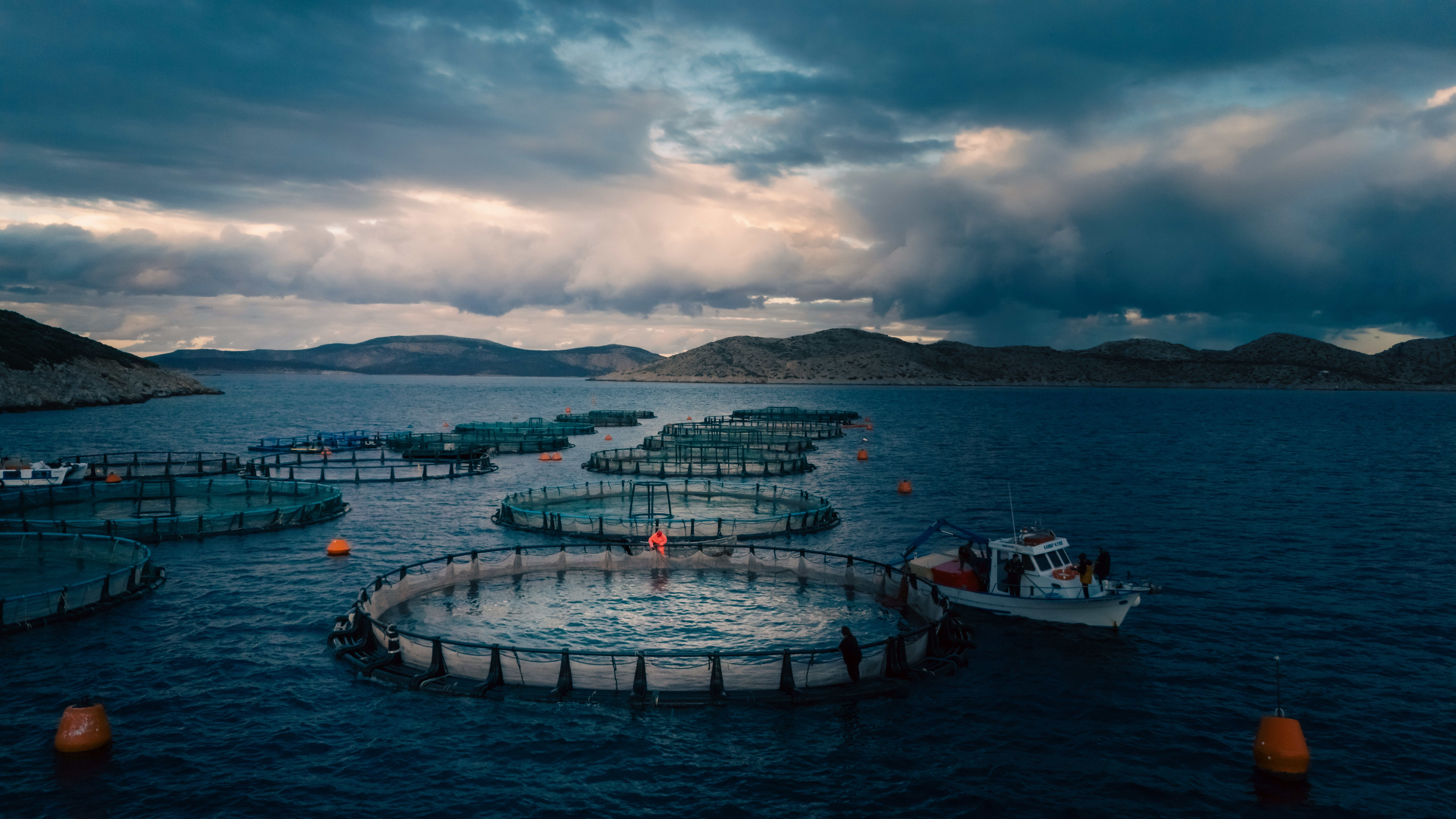 Environmental considerations by cage farming