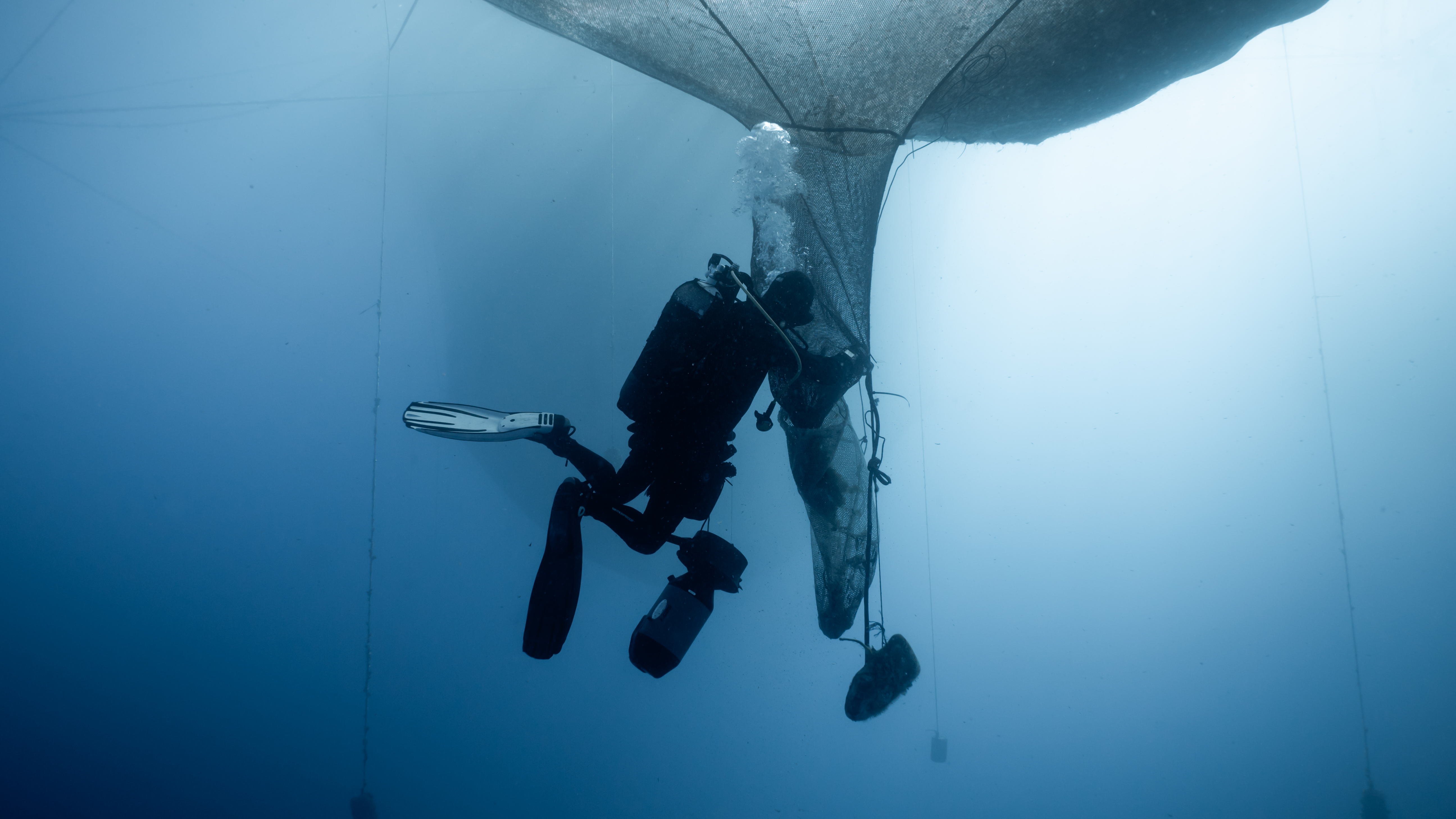 Practical aspects of mooring and cage installation, net cleaning, inspection of cages-nets-mooring system, net change, harvesting, fish packaging