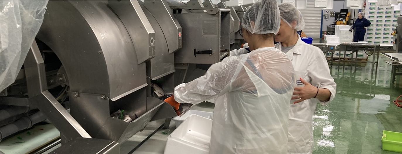 Handling and Processing of Aquatic Products