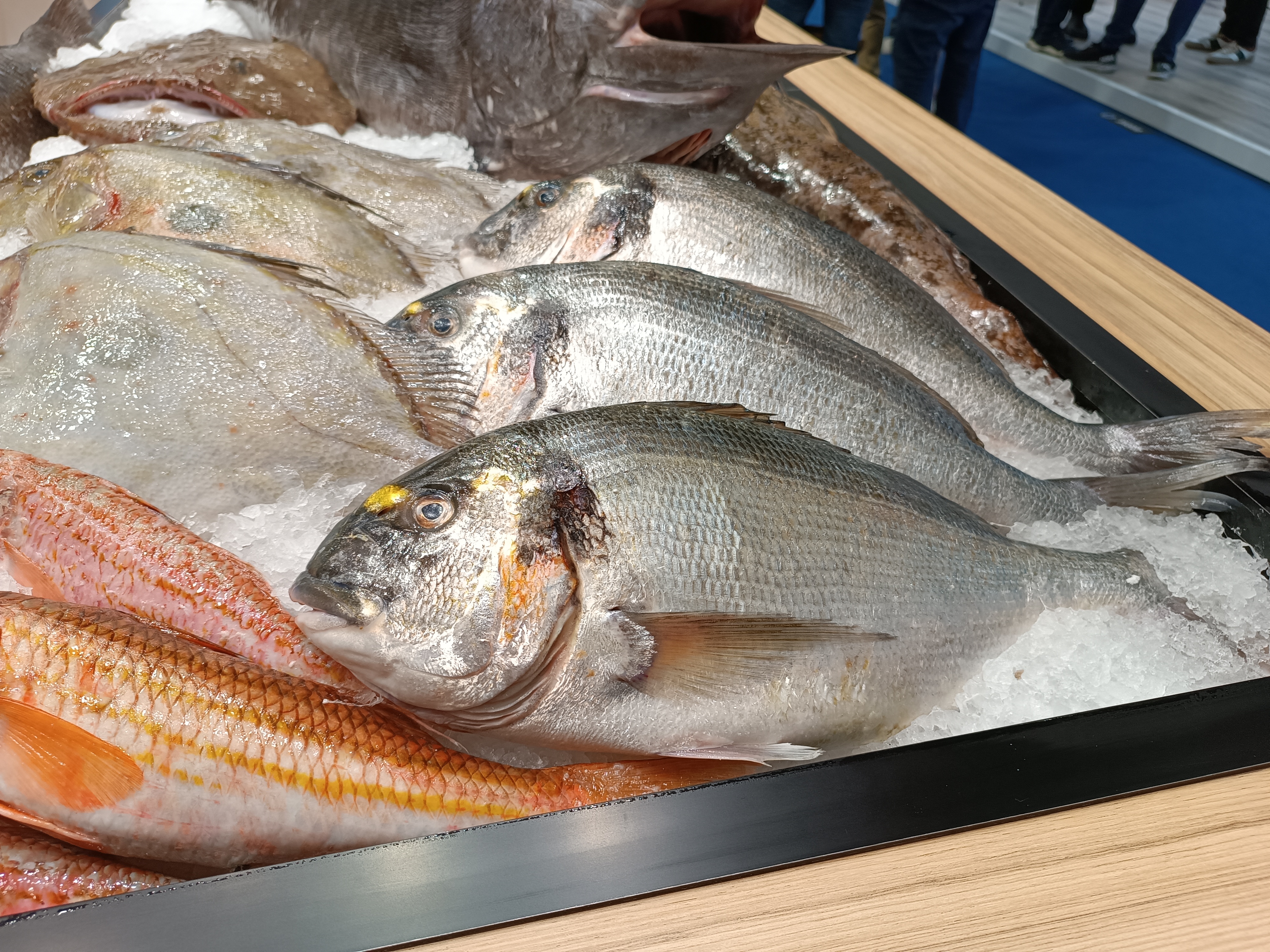 Aquaculture Supply Chain Management